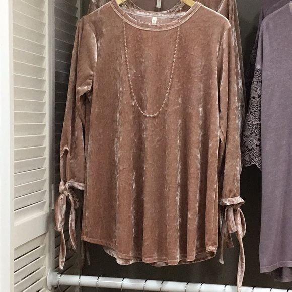 Sold out***Champagne Pink velvet top NEW Boutique - Picture 2 of 3